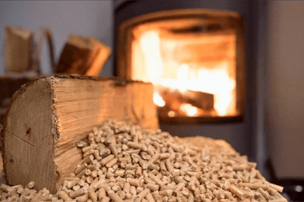 Image article blog (1)