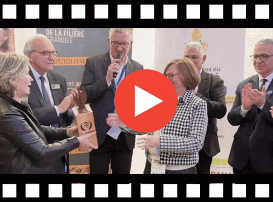 Image article blog (2)