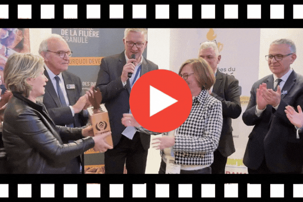 Image article blog (2)