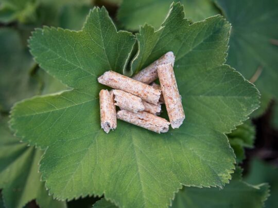 bonnes raisons choix du granule de bois