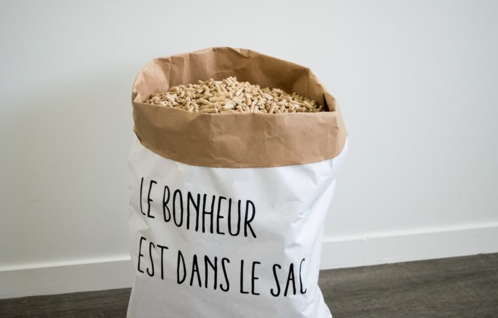 propellet bois granulé (2)