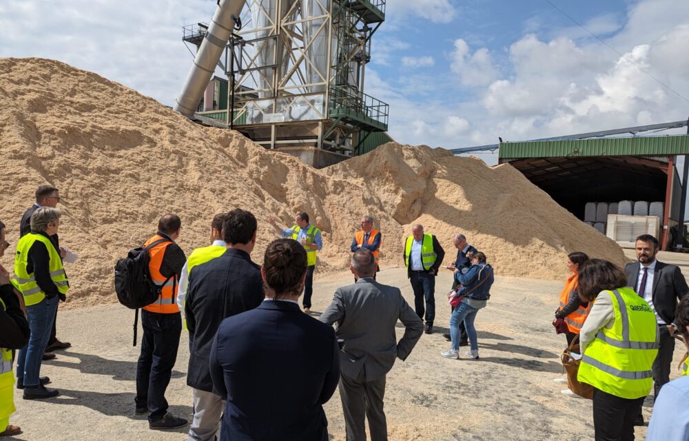 Matinée du granulé