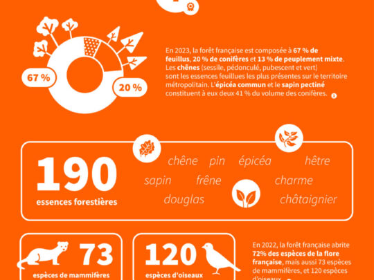 Ressource Infographies Filiere