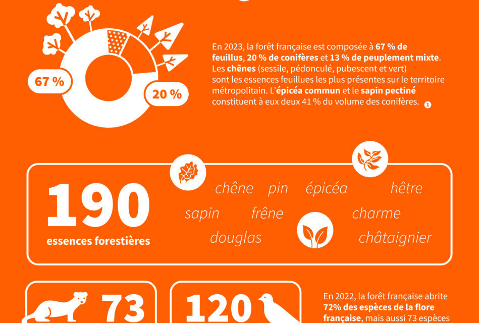 Ressource Infographies Filiere