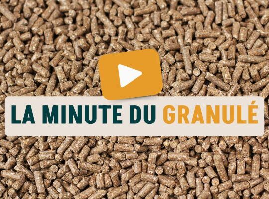 Visuel La Minute du Granulé