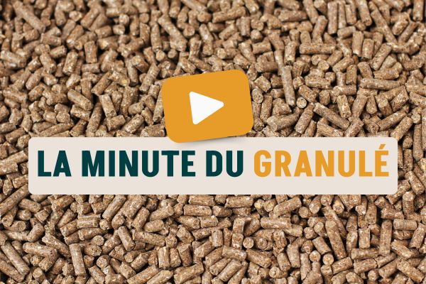 Visuel La Minute du Granulé