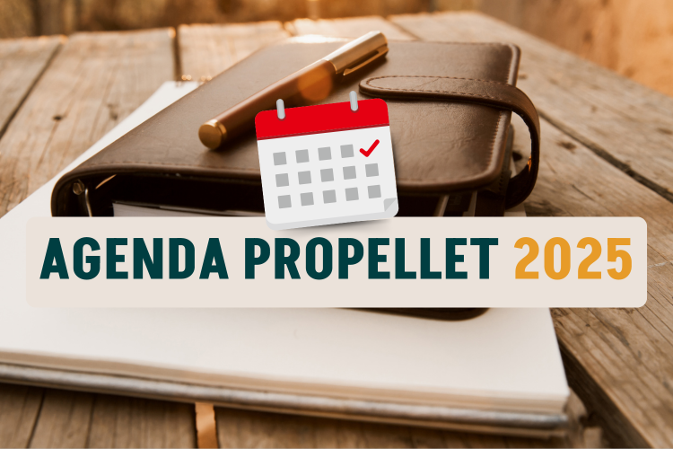 Agenda Propellet 2025