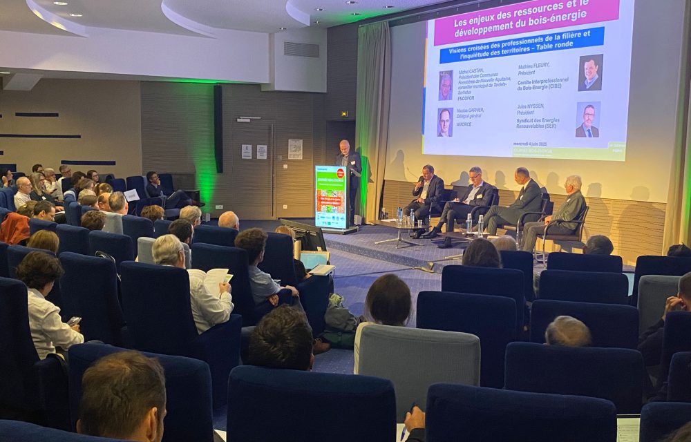 WhatsApp Image 2025 06 12 à 17.34.10 d32c941b