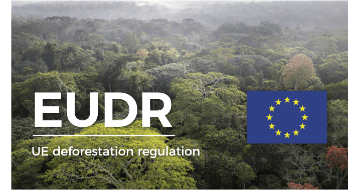 678129f795642 2 b 1 visuel rdue eng