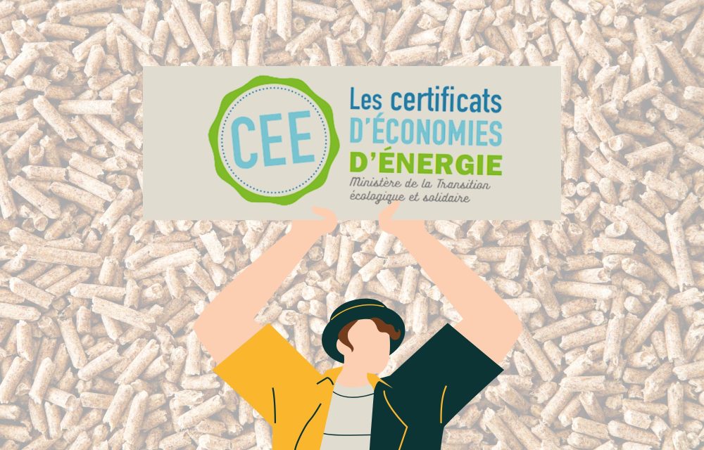 Sans titre (30 x 22 cm) (2)