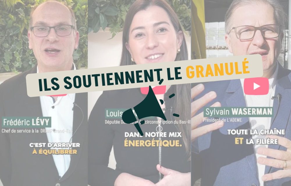 Sans titre (30 x 22 cm) (4)