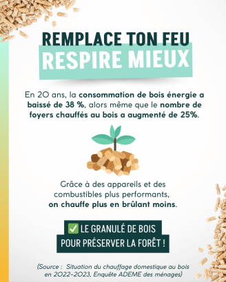 Campagne Remplace ton feu, respire mieux (6)