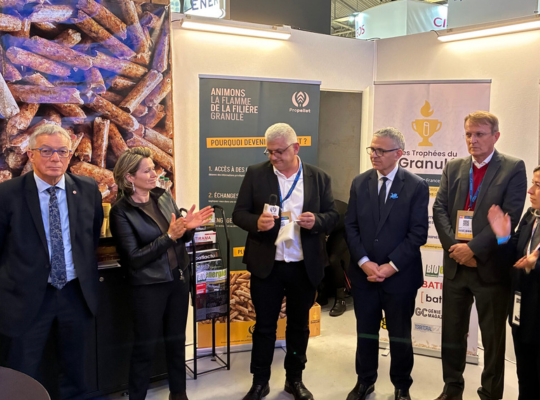 Image article blog (1)