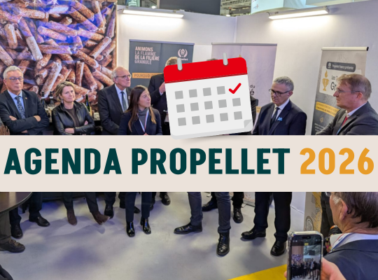 Image article blog (3)