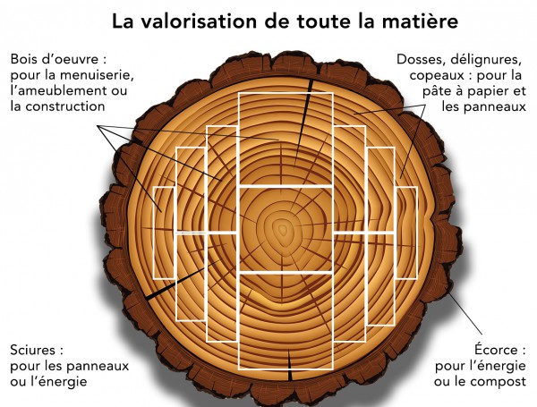 Bois de chauffage - Définition